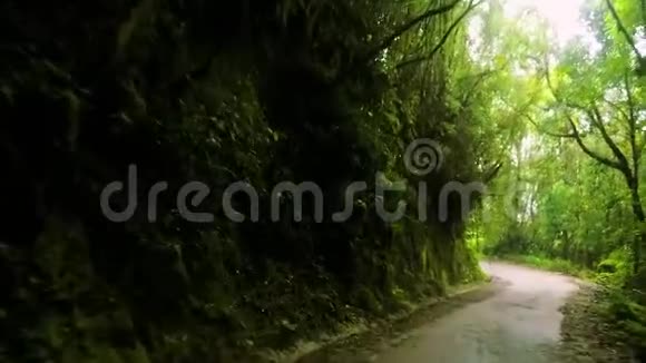 沿着狭窄的土路穿过茂密的热带雨林视频的预览图