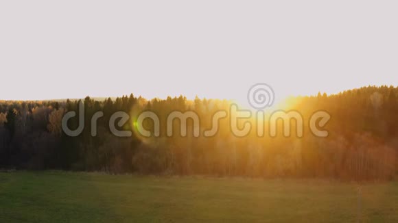 日落或黎明在秋林鸟瞰视频的预览图