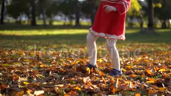 一个穿红色裙子的小女孩踢黄色落叶动作缓慢视频的预览图