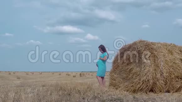 一个怀孕的女孩穿着蓝色的衣服戴着蓝色的帽子在蓝天和麦田里放着一捆干草视频的预览图