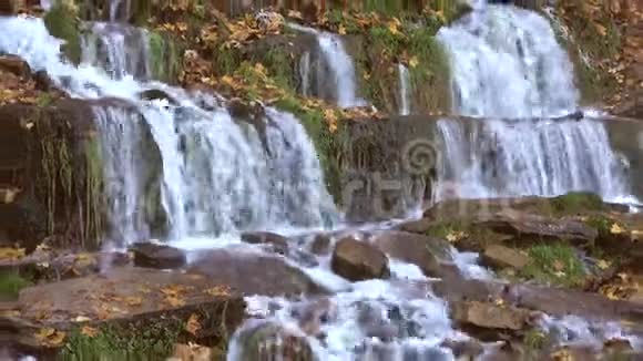 斯洛文尼亚的泉水在伊兹波斯克附近十月日俄罗斯普斯科夫地区视频的预览图