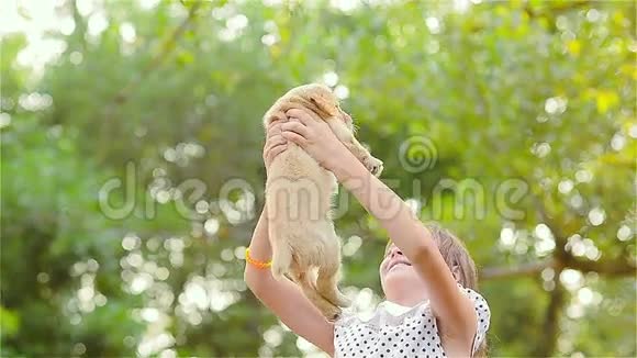 女孩把小狗放在手上视频的预览图