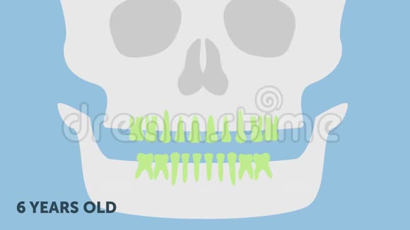 永久咬牙时间表牙科2d动画视频的预览图