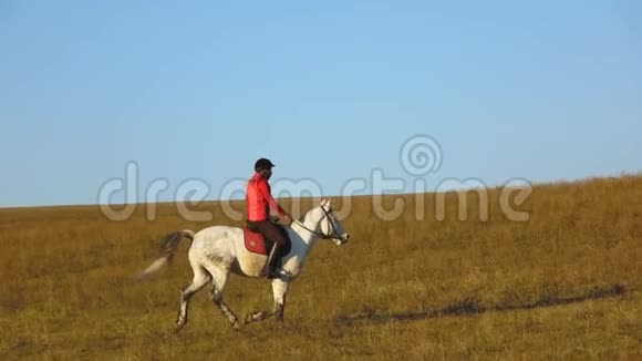 女孩骑着马驰过田野慢动作视频的预览图