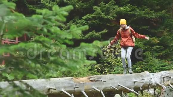 瘦女孩沿着原木在森林里的一条山河里散步高加索保护区的旅游业去向视频的预览图