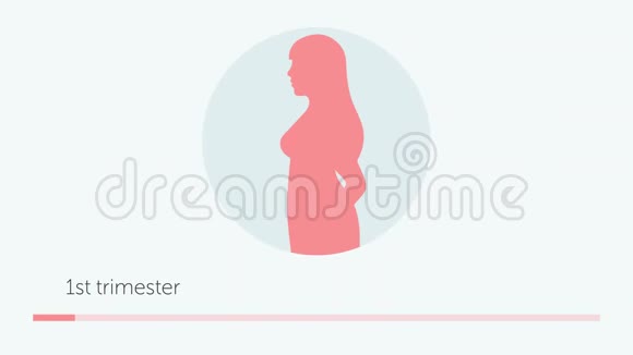 腹部生长发育三个月妇科二维动画视频的预览图