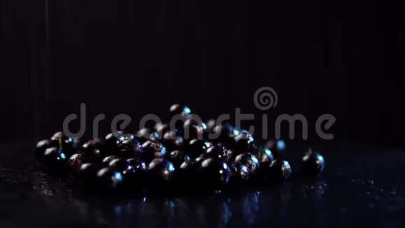 黑色醋栗浆果在黑色背景下旋转视频的预览图