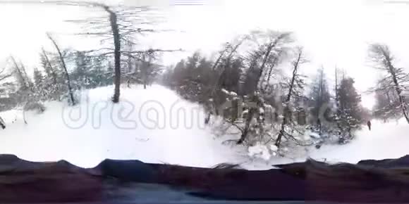 在深冬森林中奔跑360虚拟现实第一人景视频的预览图