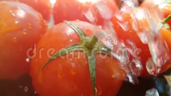 烤番茄红绿草太阳视频的预览图