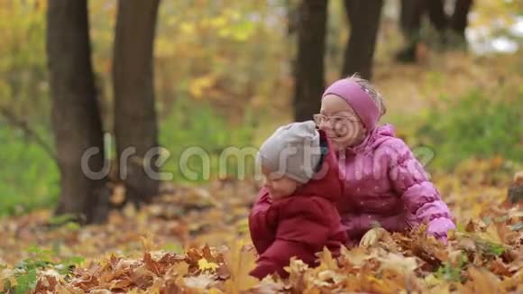 快乐的孩子们在秋天的树叶堆里玩耍视频的预览图