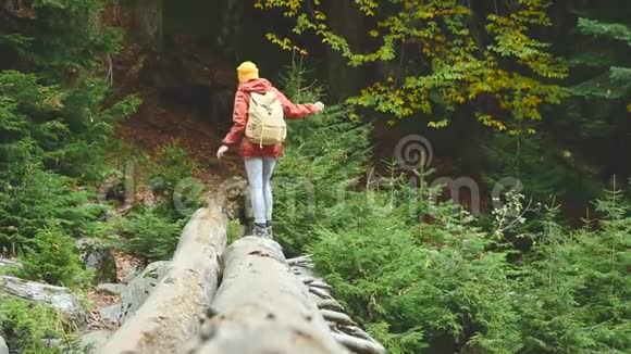瘦女孩沿着原木在森林里的一条山河里散步高加索保护区的旅游业去向视频的预览图