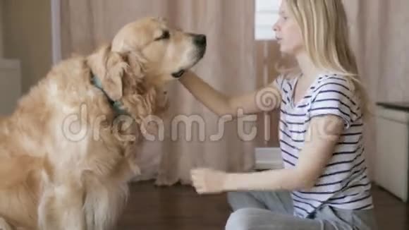 女孩和狗玩视频的预览图