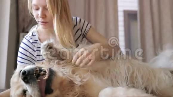 女孩和狗玩视频的预览图