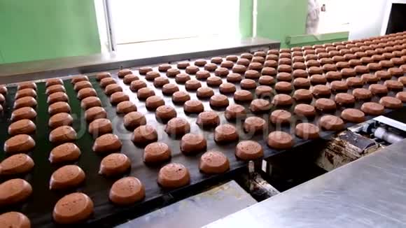 烘焙生产线成型后的生饼干用输送机烘干视频的预览图
