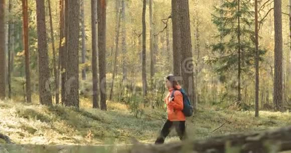 白俄罗斯年轻活跃的白种人妇女走在秋天的森林里在秋季自然中积极的生活方式女士走进来视频的预览图