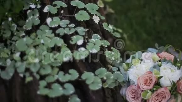美丽的婚礼花束白色玫瑰和奶油康乃馨在一棵橡树附近的草地上不同的气味视频的预览图