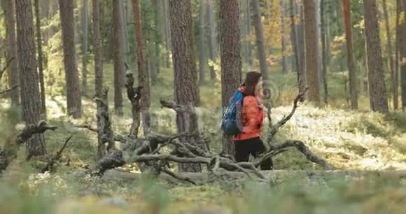 白俄罗斯年轻活跃的高加索女人在秋天的森林里散步秋季自然中的积极生活方式女士漫步视频的预览图