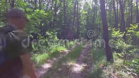 游客在绿色森林中漫步土路视频的预览图