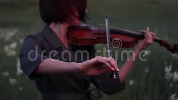 黄昏时分女小提琴手在草地上拉小提琴特写镜头视频的预览图