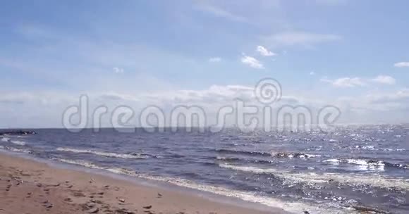 沙滩鸟鸥起飞视频的预览图