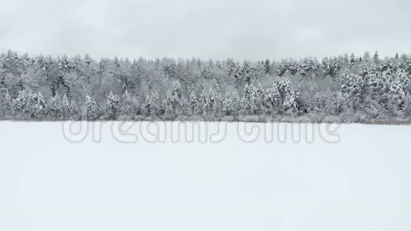 冬令雪山森林空中拍摄令人叹为观止的自然景观冰冻的森林和黑暗的山河视频的预览图