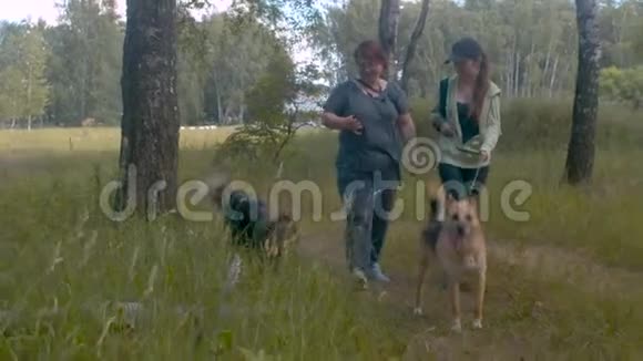 两名妇女自愿带着狗散步视频的预览图