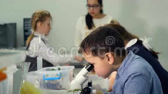 在小学生物课上学习生物化学的儿童去看显微镜视频的预览图