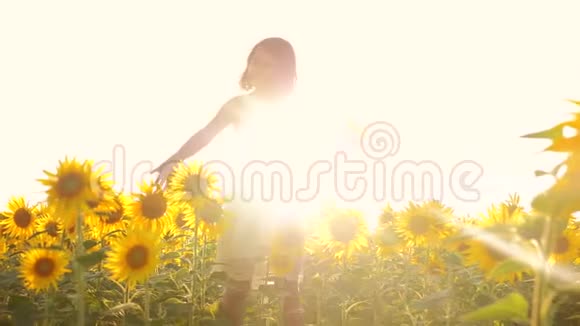快乐的小女孩闻着向日葵在夏天的田野上打喷嚏对花过敏慢动作视频女孩视频的预览图