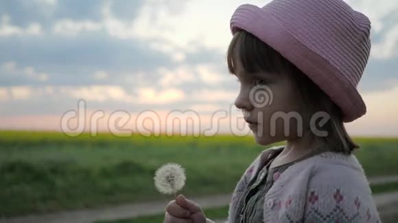 美丽的小女孩吹在蒲公英上可爱的女孩子在田野的背景上日落时鲜花盛开视频的预览图