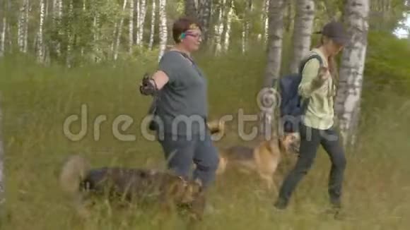 两名妇女自愿带着狗散步视频的预览图
