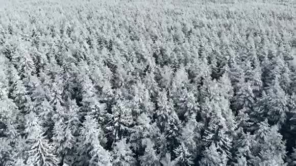 冬令雪山森林空中拍摄令人叹为观止的自然景观冰冻的森林和黑暗的山河视频的预览图