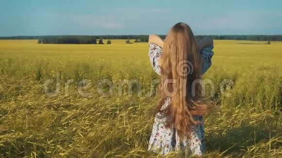 秋姑娘在田野上享受大自然美丽的女孩户外在阳光下举手美丽的少年模特视频的预览图