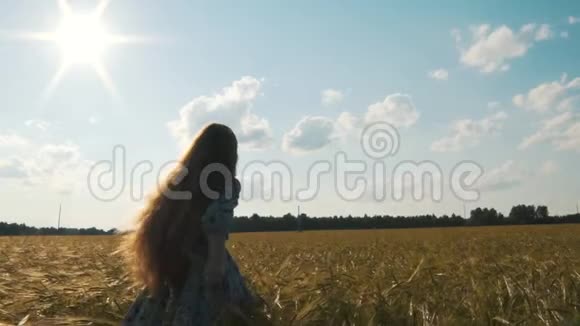 美丽的女孩奔跑夏日田野日落风筝视频的预览图