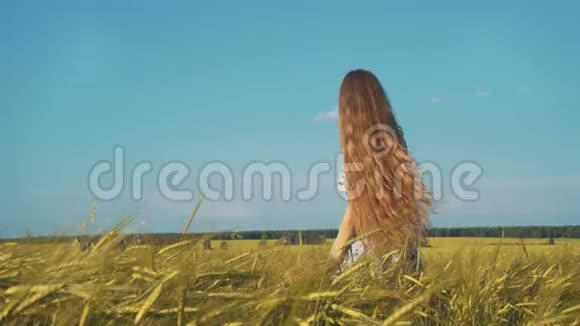 秋姑娘在田野上享受大自然美丽的女孩户外在阳光下举手美丽的少年模特视频的预览图