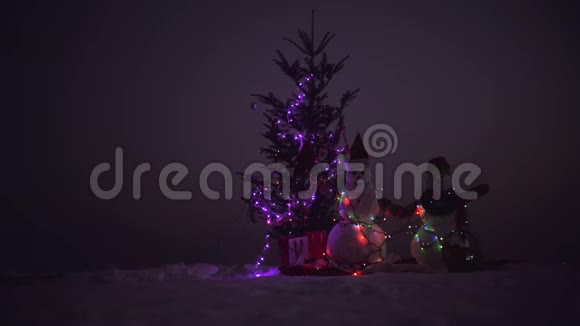 圣诞快乐新年快乐两个快乐的雪人站在冬季圣诞节的风景视频的预览图