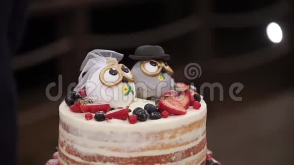 婚礼庆祝蛋糕的乡村风格与猫头鹰数字在顶部视频的预览图