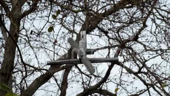 小木飞机挂在树上随风旋转视频的预览图