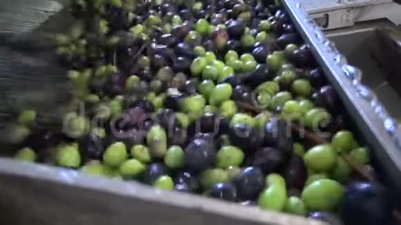 橄榄榨汁机清洗橄榄4视频的预览图