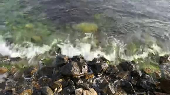 海波在石头和海藻上视频的预览图