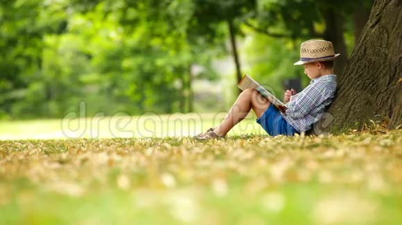 阳光明媚的一天男孩坐在树旁看书视频的预览图