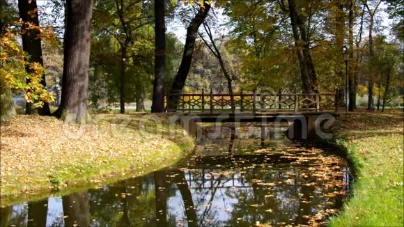 德国卢萨蒂亚的布拉尼茨公园视频的预览图