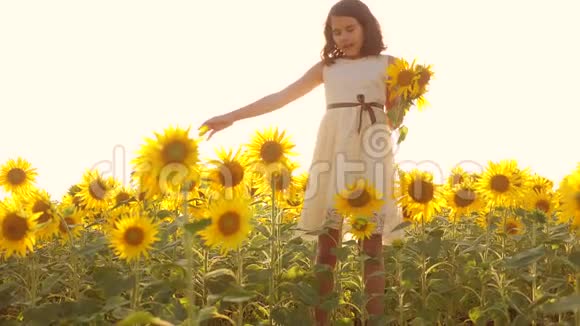 快乐的小女孩闻着向日葵在夏天的田野上打喷嚏对花过敏慢动作视频女孩视频的预览图