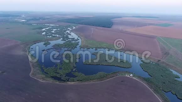 空中无人机飞越一个充满植被的美丽池塘视频的预览图