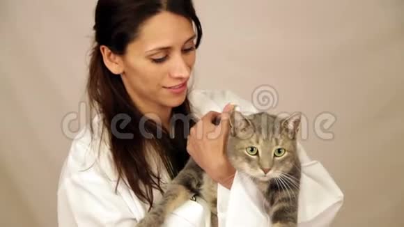 西班牙兽医抱着猫视频的预览图