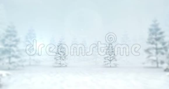 白雪模糊的森林白天是木制的前空甲板视频的预览图