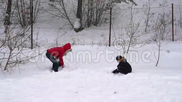 母子吐软鲜雪女人和一个十几岁的男孩是快乐的冬天公园里一个多云的冬天视频的预览图
