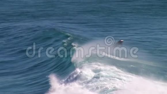 慢镜头中的波浪和海豚视频的预览图