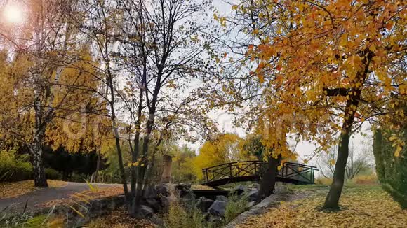 在阳光明媚的一天城市公园里有一座桥的秋天步道视频的预览图