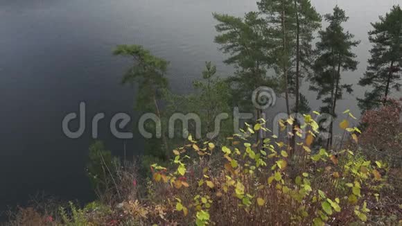 秋天的河景视频的预览图