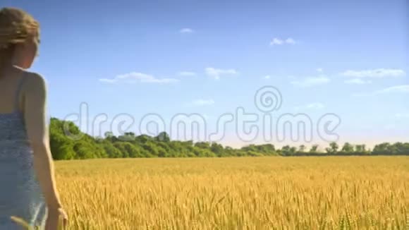 麦田景观中的女人农业用地女孩摸麦穗视频的预览图